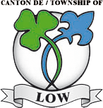 logo low